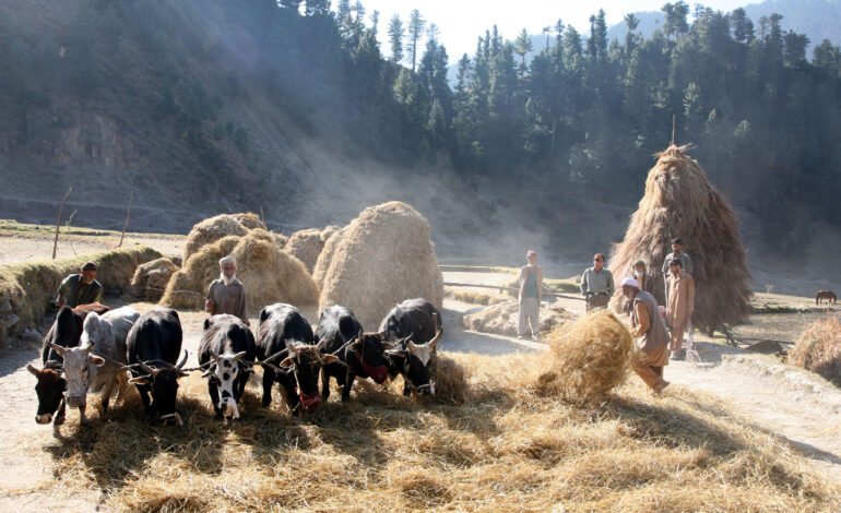 Agriculture in Azad Kashmir: Broken Machinery, Broken Trust