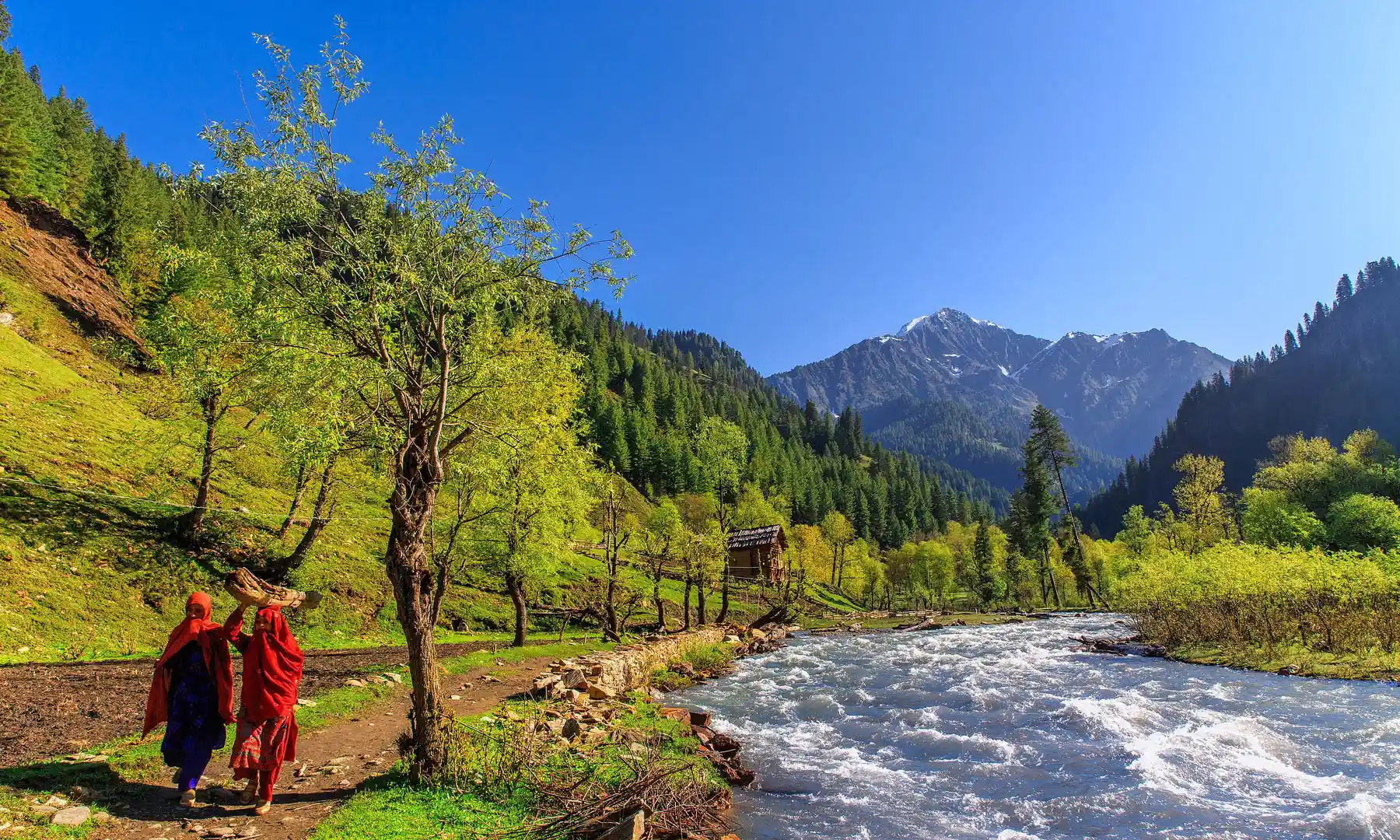 How AJK’s PKR 11 Billion Tourism Economy Collapsed in Peak Season